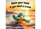 Do you Need a Cruise?