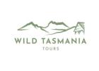 Small Group Wildlife Tours Tasmania: Explore Nature Up Close