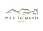 Hobart to Cradle Mountain Tour: Explore Tasmania