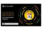 MEME Coin Development Company - Coin Developer India