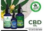 CBD Oil That Elevates Your Wellness