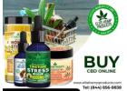 Buy CBD Online – Premium Quality You Can Trust