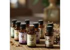Enhance ******ce with Expert Scent Marketing Solutions