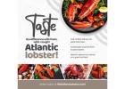 Live and Steamed Lobster