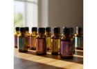 Transform Your Business Atmosphere with Professional Scent Marketing