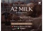 Order Fresh A2 Desi Cow Milk Delivered in Bangalore