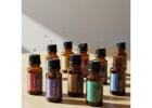 Transform Business ******ce with Professional Scent Marketing