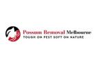 Possum Removal Services Melbourne