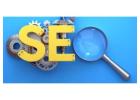 Best SEO Expert in Abu Dhabi