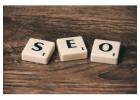 Fractional SEO Manager
