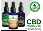 Discover the Power of CBD Products – Your Path to Wellness!