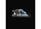 BALI FUN DIVING