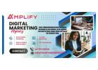 Amplify Marketing Solutions