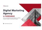 Brandlogg - Best Digital Marketing Agency in Faridabad