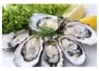 We Deliver Oysters