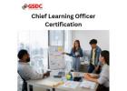 How Chief Learning Officers Drive Organizational Culture and Employee Engagement.