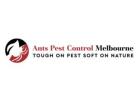 Ant Removal Services Melbourne