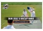 Online Cricket ID Whatsapp Number: Find out where you can get your Cricket ID