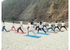 Master Your Practice: 300-Hour YTTC at Rishikesh Yog Kendra
