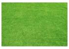 The Importance of Turf Ground Development
