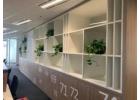 Bring Nature Inside with Indoor Plants in Melbourne