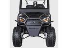 Ami luxury golf cart rentals