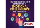 How to Choose the Right Certification in Emotional Intelligence for Your Goals.