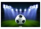 Transform Your Field with Delhi's Premier Football Turf Manufacturer