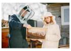 The Beekeeper’s Guide to Modern Beehive Monitoring and Hive Relocation