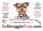 Learn how to earn $500 a day we close the sales for you