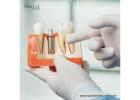 Custom Dental Equipment in Peru: Trusted Suppliers