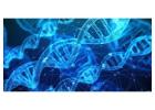 Ace the Exam with Expert AP Biology Classes | Enroll Now
