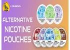 Discover the Benefits of Alternative Nicotine Pouches