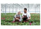 Greenhouse Inventory Software