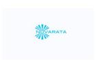 Hire Top Software Developers in Atlanta