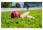 AmiriBook | Get Your Online Cricket ID Instantly!