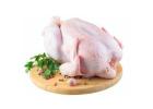 Frozen Chicken Feet and Paws to China