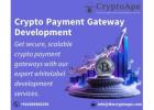 Accept Crypto Payments with Ease – Get a Custom Cryptocurrency Payment Gateway from CryptoApe