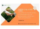 Publish Crop Article Online with India’s Leading Agri Platform