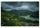 Monsoon Luxury: Best Sea View Beach Resorts and Beachfront Villas in India