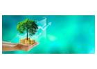 Business Growth with an Instant Business Expansion Loan