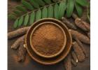 Mimosa Hostilis: Ancient Plant Intelligence Confronts Modern Curiosity