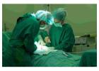Best Kidney Transplant Specialist in Haryana | Kasha Clinic