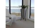 Easy and Quick Hire Plants Melbourne Services