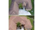 Roof Cleaning West Palm Beach