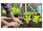 Gardeners Baulkham Hills