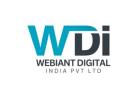 SEO Company in Delhi NCR for Businesses Seeking Rapid Market Entry
