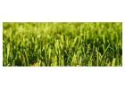 Artificial grass and Turf for Low-Maintenance Green Spaces