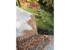 Gutter Cleaning Service in Mosman | Mario's Gutter Cleaning
