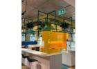 Hire Office Plants and Make a Lasting Impression on Clients